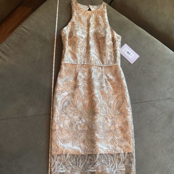 JS Collection Lace Dress Size 6 JS Collection Lace Dress Size 6